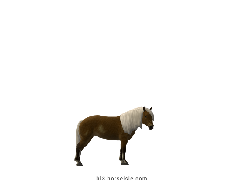 South African Miniature Horse Brown Silver Coat